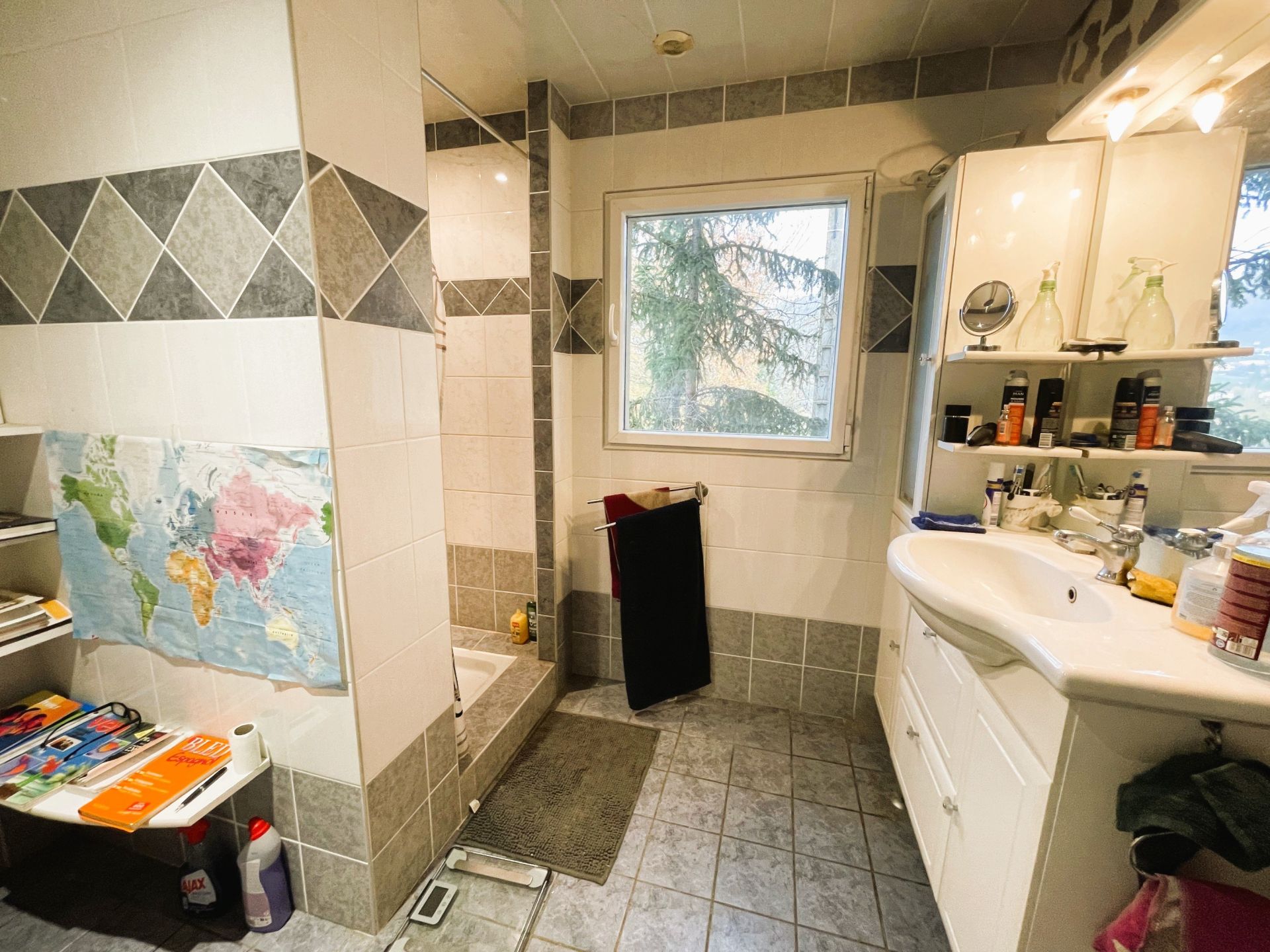 Viager Maison 5 Pièces 116 m² Brives-Charensac