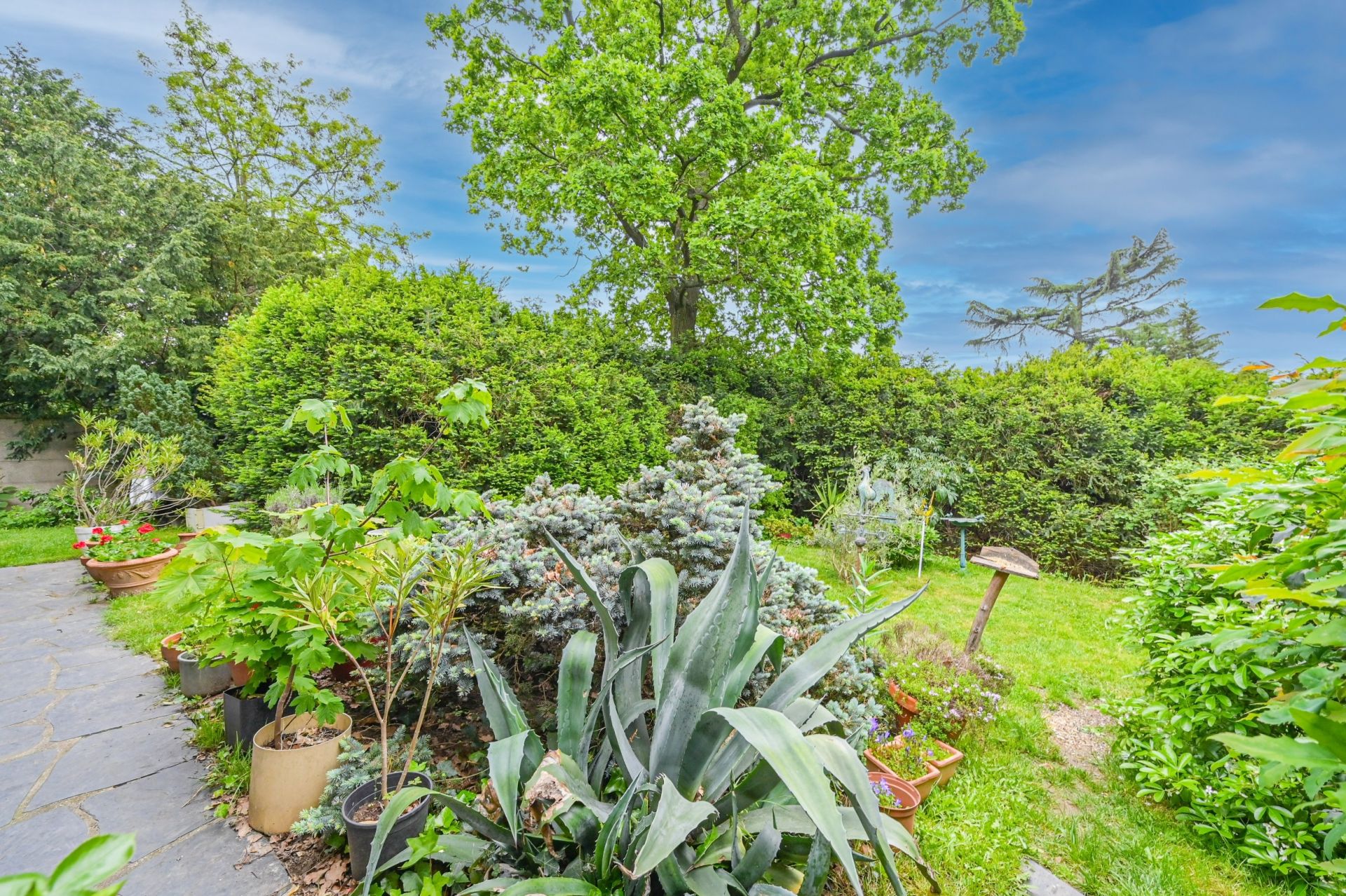 Viager Maison 4&nbsp;Pièces 110&nbsp;m² Fontenay-aux-Roses