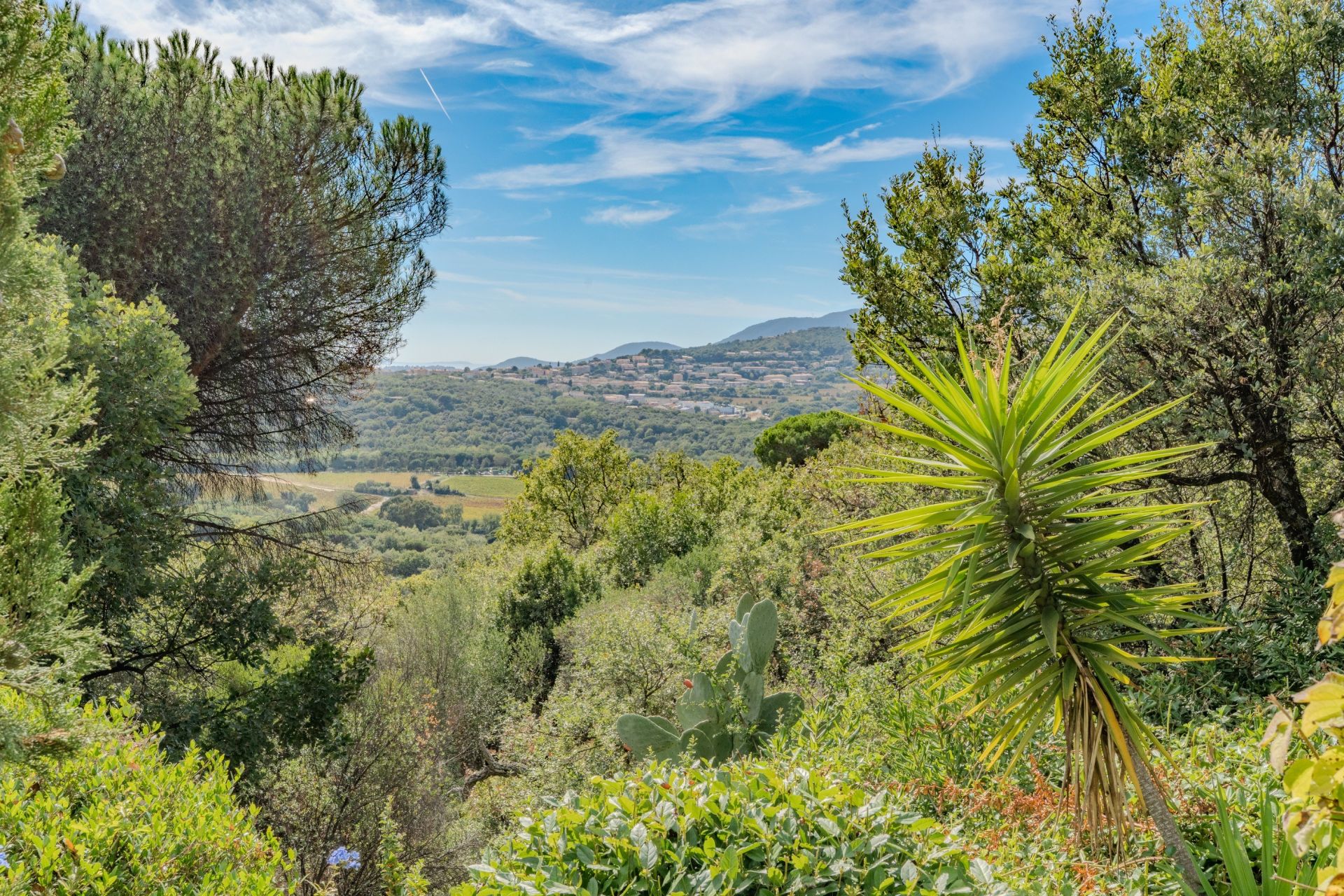 Viager Maison 3 Pièces 117 m² Gassin