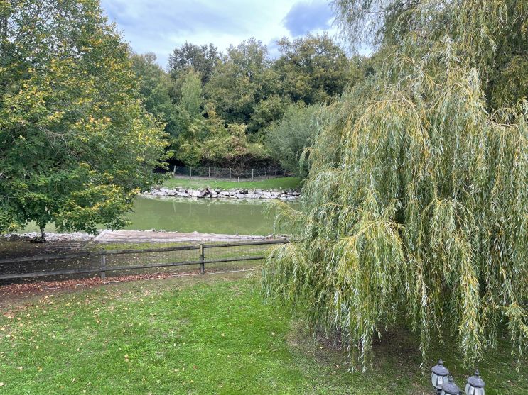 maison 7 Pièces en viager sur LUYNES (37230)