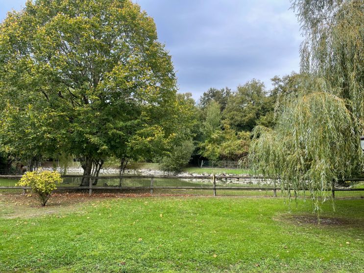 maison 7 Pièces en viager sur LUYNES (37230)