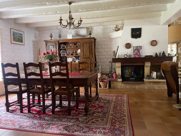 maison 7 Pièces en viager sur LUYNES (37230)