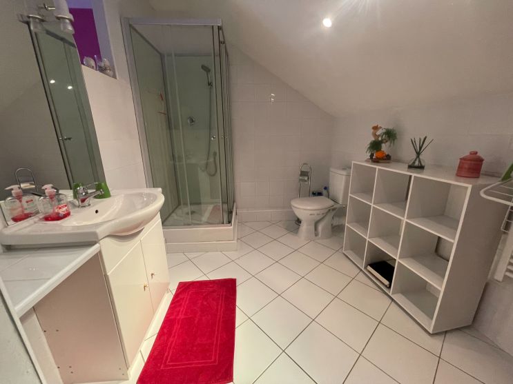 maison 7 Pièces en viager sur MHERE (58140)